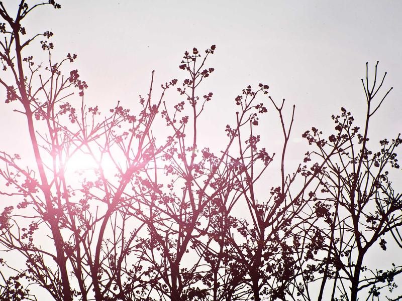 sudoku diagonal variant screenshot 6