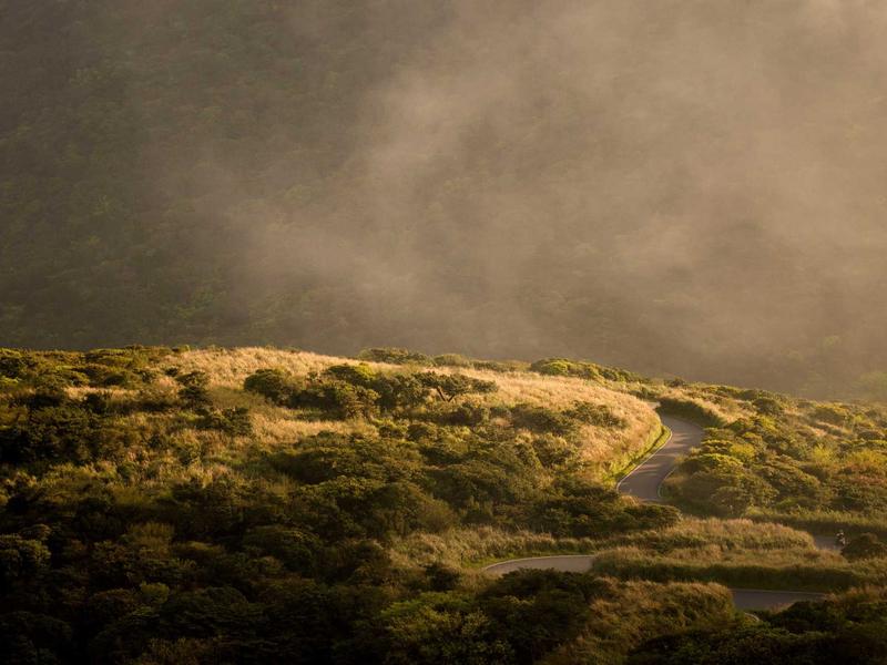 sudoku diagonal variant screenshot 2