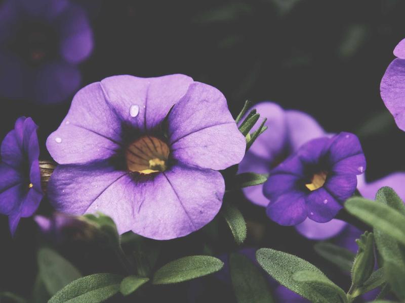 android screenshot 2