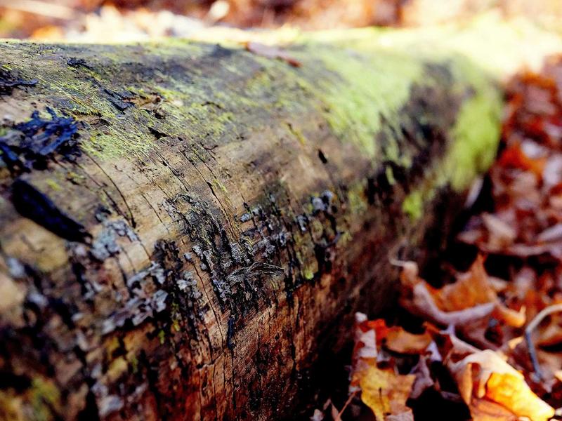 accessibility screenshot 1